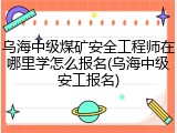 乌海中级煤矿安全工程师在哪里学怎么报名(乌海中级安工报名)