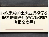 西双版纳护士执业资格怎么报名培训费用(西双版纳护考报名费用)