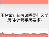 玉树审计师考试需要什么学历(审计师学历要求)