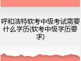 呼和浩特软考中级考试需要什么学历(软考中级学历要求)
