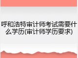 呼和浩特审计师考试需要什么学历(审计师学历要求)