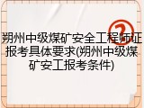 朔州中级煤矿安全工程师证报考具体要求(朔州中级煤矿安工报考条件)