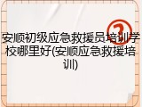 安顺初级应急救援员培训学校哪里好(安顺应急救援培训)