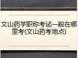 文山药学职称考试一般在哪里考(文山药考地点)