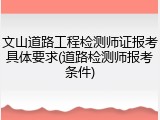 文山道路工程检测师证报考具体要求(道路检测师报考条件)