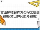 文山护师职称怎么报名培训费用(文山护师报考费用)