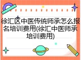 徐汇区中医传统师承怎么报名培训费用(徐汇中医师承培训费用)