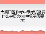 大渡口区软考中级考试需要什么学历(软考中级学历要求)