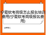 宁夏软考高级怎么报名培训费用(宁夏软考高级报名费用)