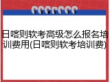日喀则软考高级怎么报名培训费用(日喀则软考培训费)