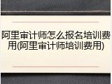 阿里审计师怎么报名培训费用(阿里审计师培训费用)