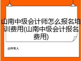 山南中级会计师怎么报名培训费用(山南中级会计报名费用)