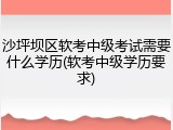 沙坪坝区软考中级考试需要什么学历(软考中级学历要求)