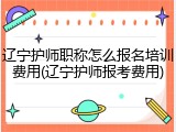 辽宁护师职称怎么报名培训费用(辽宁护师报考费用)
