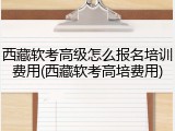 西藏软考高级怎么报名培训费用(西藏软考高培费用)