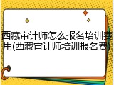 西藏审计师怎么报名培训费用(西藏审计师培训报名费)