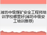 潍坊中级煤矿安全工程师培训学校哪里好(潍坊中级安工培训推荐)