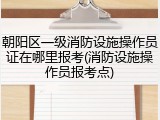 朝阳区一级消防设施操作员证在哪里报考(消防设施操作员报考点)