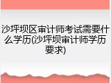 沙坪坝区审计师考试需要什么学历(沙坪坝审计师学历要求)
