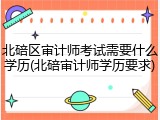 北碚区审计师考试需要什么学历(北碚审计师学历要求)