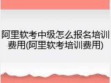 阿里软考中级怎么报名培训费用(阿里软考培训费用)