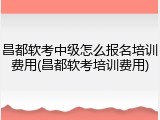 昌都软考中级怎么报名培训费用(昌都软考培训费用)
