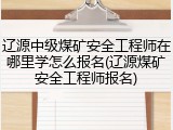 辽源中级煤矿安全工程师在哪里学怎么报名(辽源煤矿安全工程师报名)