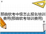 那曲软考中级怎么报名培训费用(那曲软考培训费用)