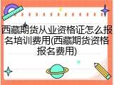 西藏期货从业资格证怎么报名培训费用(西藏期货资格报名费用)