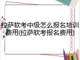 拉萨软考中级怎么报名培训费用(拉萨软考报名费用)