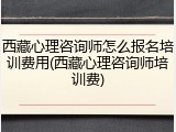 西藏心理咨询师怎么报名培训费用(西藏心理咨询师培训费)