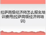 拉萨高级经济师怎么报名培训费用(拉萨高级经济师培训)