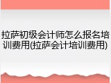 拉萨初级会计师怎么报名培训费用(拉萨会计培训费用)
