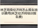林芝高级经济师怎么报名培训费用(林芝经济师培训报名费)