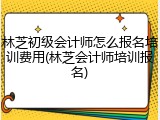 林芝初级会计师怎么报名培训费用(林芝会计师培训报名)
