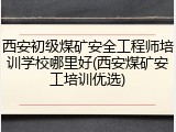 西安初级煤矿安全工程师培训学校哪里好(西安煤矿安工培训优选)
