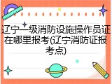 辽宁一级消防设施操作员证在哪里报考(辽宁消防证报考点)
