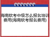 海南软考中级怎么报名培训费用(海南软考报名费用)