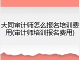 大同审计师怎么报名培训费用(审计师培训报名费用)