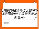 沧州初级经济师怎么报名培训费用(沧州初级经济师培训费用)