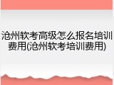 沧州软考高级怎么报名培训费用(沧州软考培训费用)