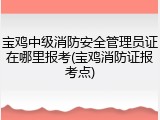 宝鸡中级消防安全管理员证在哪里报考(宝鸡消防证报考点)