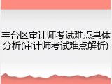 丰台区审计师考试难点具体分析(审计师考试难点解析)