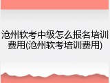沧州软考中级怎么报名培训费用(沧州软考培训费用)