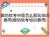 廊坊软考中级怎么报名培训费用(廊坊软考培训费用)