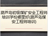 葫芦岛初级煤矿安全工程师培训学校哪里好(葫芦岛煤安工程师培训)