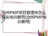 沧州PMP项目管理师怎么报名培训费用(沧州PMP培训费用)