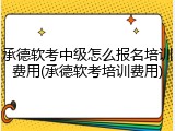 承德软考中级怎么报名培训费用(承德软考培训费用)
