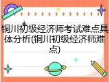铜川初级经济师考试难点具体分析(铜川初级经济师难点)