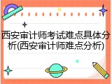 西安审计师考试难点具体分析(西安审计师难点分析)